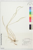 登錄號:S232509藏品圖，第1張