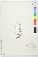 登錄號:S232588藏品圖，第1張