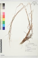 登錄號:S232808藏品圖，第1張