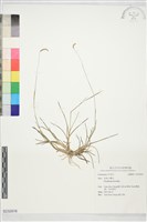 登錄號:S232816藏品圖，第1張