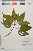 海州常山藏品圖，第1張