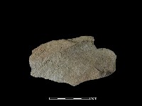 石片藏品圖，第2張