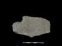 石片藏品圖，第1張