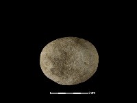 石鎚藏品圖，第1張