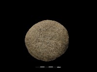 石鎚藏品圖，第2張