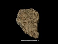 陶片藏品圖，第1張