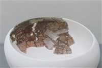 陶缸藏品圖，第2張