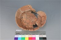 陶罐藏品圖，第3張