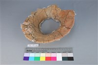 連杯形器藏品圖，第2張