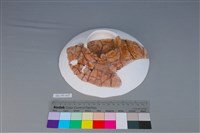 豆形器藏品圖，第3張