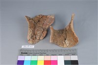 連杯形器藏品圖，第2張