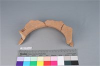 陶罐藏品圖，第2張