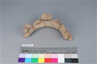 陶罐藏品圖，第2張