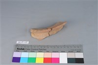 陶罐藏品圖，第1張