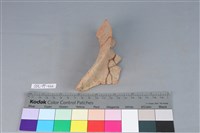 陶罐藏品圖，第3張