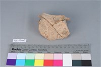 陶罐藏品圖，第2張