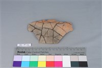 陶片藏品圖，第1張