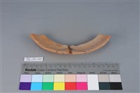 陶罐藏品圖，第4張