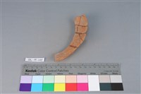 陶罐藏品圖，第3張