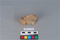 陶罐藏品圖，第2張