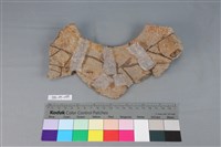 陶罐藏品圖，第2張