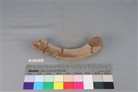 陶罐藏品圖，第4張