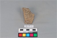 陶片藏品圖，第1張