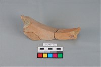 陶罐藏品圖，第3張