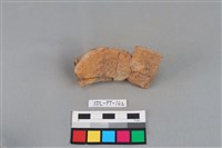 陶罐藏品圖，第2張