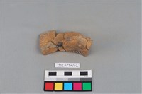 陶罐藏品圖，第3張