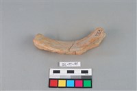 陶罐藏品圖，第1張