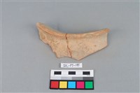 陶罐藏品圖，第3張