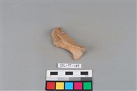 連杯形器藏品圖，第2張