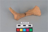 連杯形器藏品圖，第1張