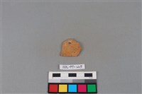 陶片藏品圖，第2張