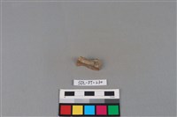 陶片藏品圖，第2張