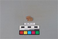 陶片藏品圖，第1張