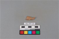 陶片藏品圖，第2張