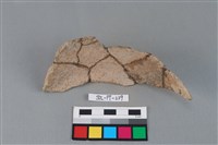 陶罐藏品圖，第2張