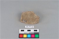 陶片藏品圖，第2張