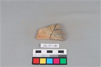 陶片藏品圖，第1張