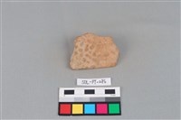 陶片藏品圖，第1張