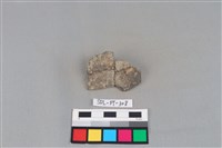 陶片藏品圖，第1張