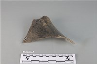 陶罐藏品圖，第3張