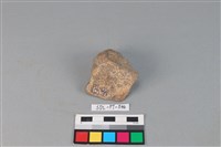 陶蓋藏品圖，第2張