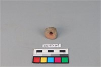 紡輪藏品圖，第2張