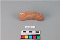 陶網墜藏品圖，第1張