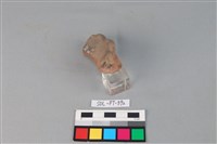 陶網墜藏品圖，第3張