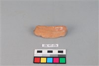 陶網墜藏品圖，第2張