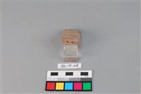 陶網墜藏品圖，第3張